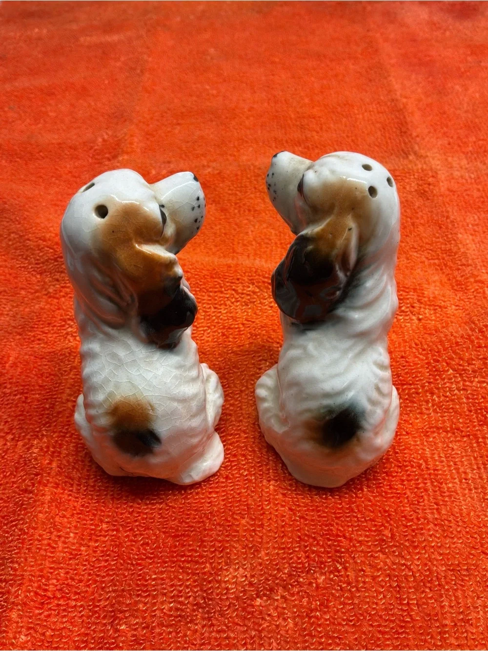 Ceramic Dog Salt and Pepper Shakers - White and Black